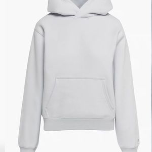 Aritzia TNA Cozy Perfect Hoodie